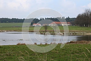 Bison ranch in RoÃÂ¾nov, ÃÅeskÃÂ¡ Kanada, South Bohemia photo
